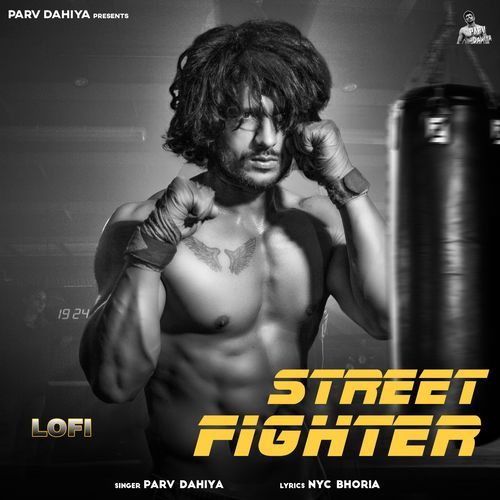 Street Fighter (Lofi) cover art