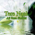 Tere Naal