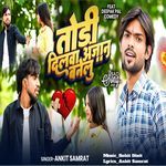 Todi Dilwa Anjan Banelu