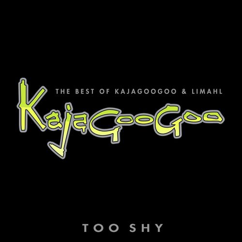 Too Shy: The Best Of Kajagoogoo & Limahl_poster_image