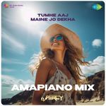 Tumhe Aaj Maine Jo Dekha - Amapiano Mix