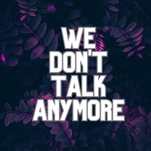 We Don't Talk Anymore