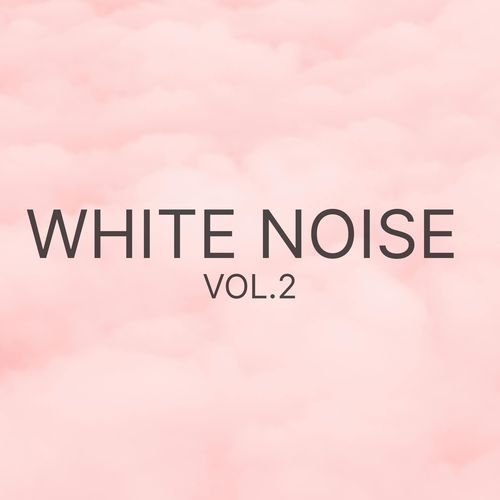 White Noise Vol.2