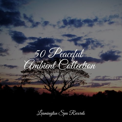 50 Peaceful Ambient Collection