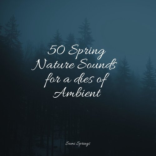 50 Spring Nature Sounds for a dies of Ambient