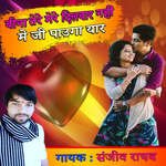 Bina Tere Mere Dilbar Nahi Mein Ji Pauga Yaar