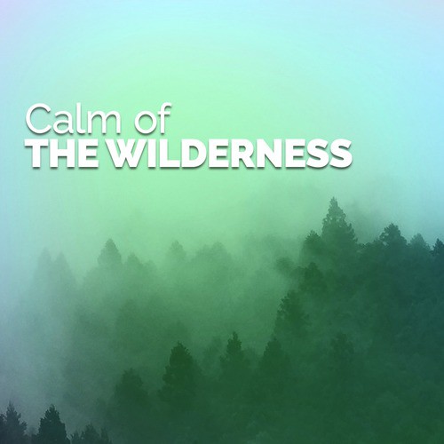 Water Source cover art