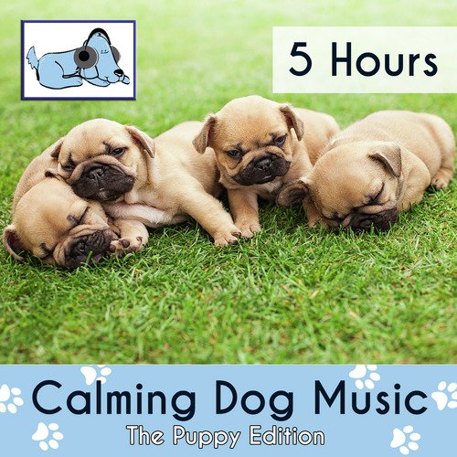 Calming Dog Music: The Puppy Edition - 5 Hours