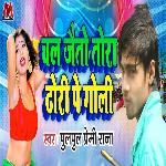 Chal Jeto Tora Dhori Pai Goli