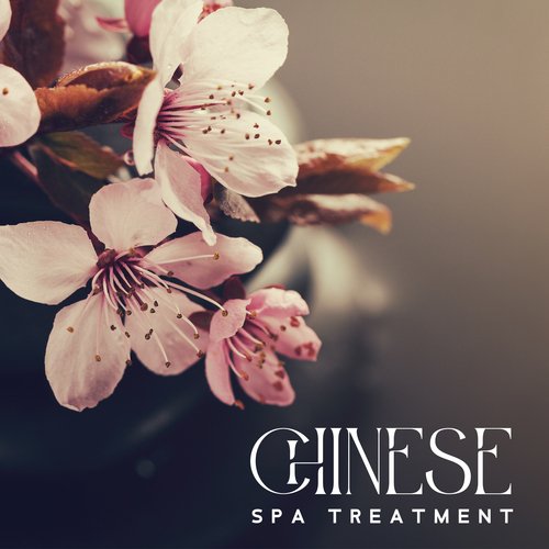 Chinese Spa Treatment: Revitalize Your Body and Mind