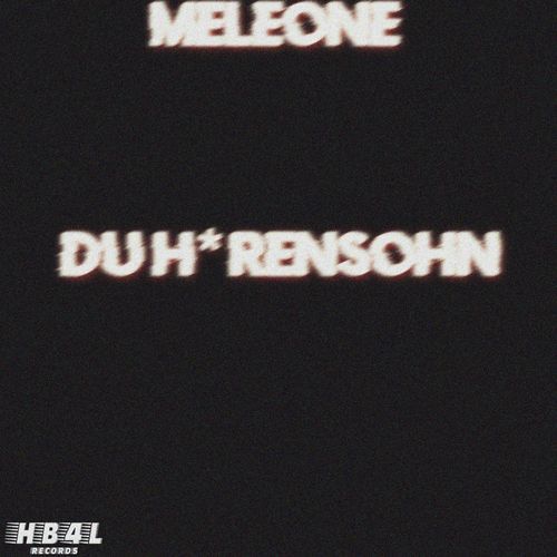 DU HURENSOHN (Slowed)