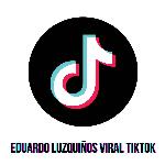 Eduardo Luzquiños Viral TikTok (Remix)