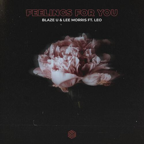 Feelings For You_poster_image