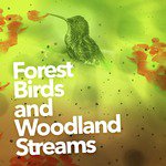 Forest Birds and Woodland Streams