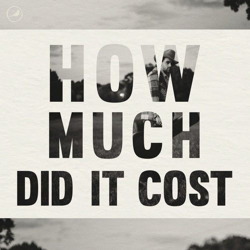 How Much Did It Cost_poster_image