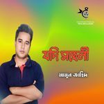 Jodi Shoheli