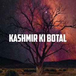 Kashmir Ki Botal