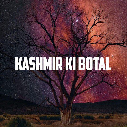 Kashmir Ki Botal_poster_image