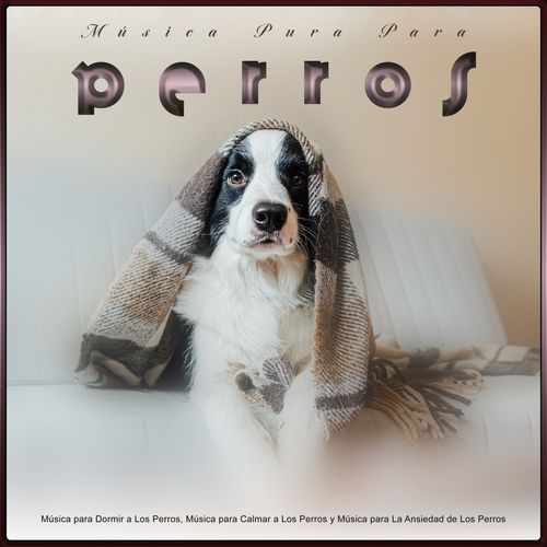 Música para Dormir a Los Perros cover art