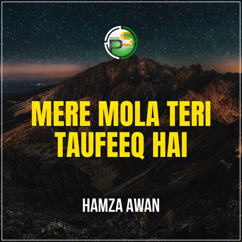 Mere Mola Teri Taufeeq Hai