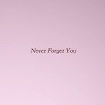 Never Forget You