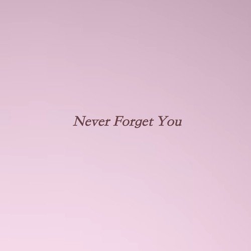 Never Forget You_poster_image