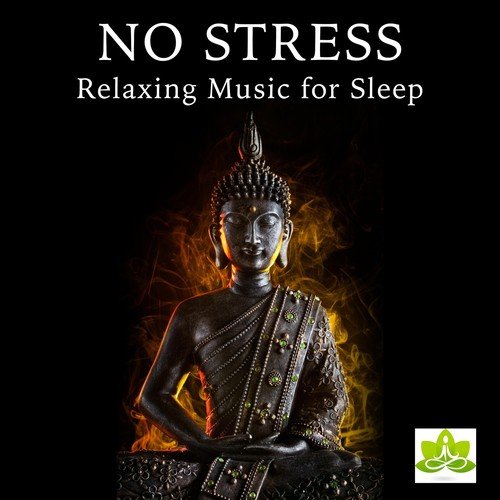 No Stress - Relaxing Music for Sleep