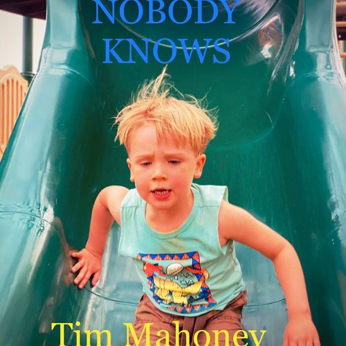 Nobody Knows_poster_image