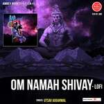 Om Namah Shivay-Lofi