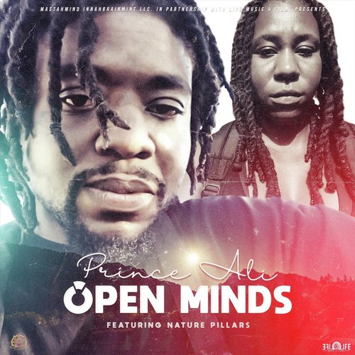 Open Minds (feat. Nature Pillars)_poster_image