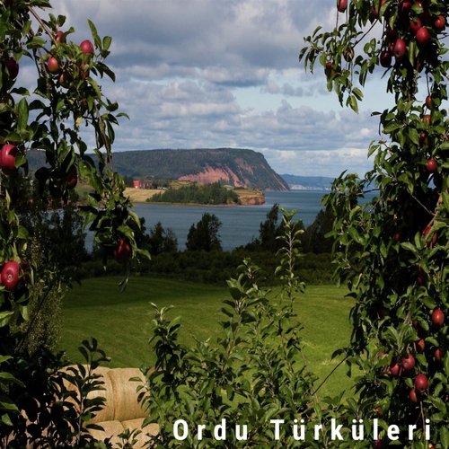 Yine Yeşillendi Fındık Dalları cover art