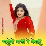 चलोगो गाड़ी पे मेवाती