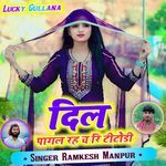 दिल पागल रह च रि टीटोडी