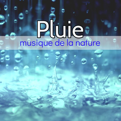 Pluie, musique de la nature – 1 heure de bruit de la pluie anti stress pour la détente et le sommeil_poster_image