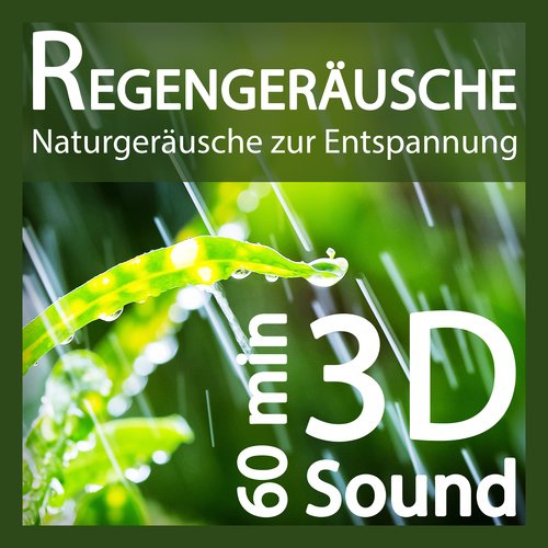 Regengeräusche (3D-Sound ohne Musik) - Naturgeräusche zur Entspannung_poster_image