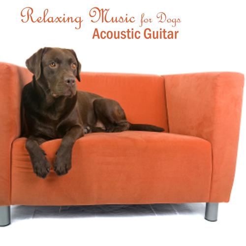Relaxing Music for Dogs - Acoustic Guitar Songs