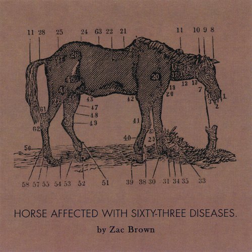 Ride The Sick Horse_poster_image