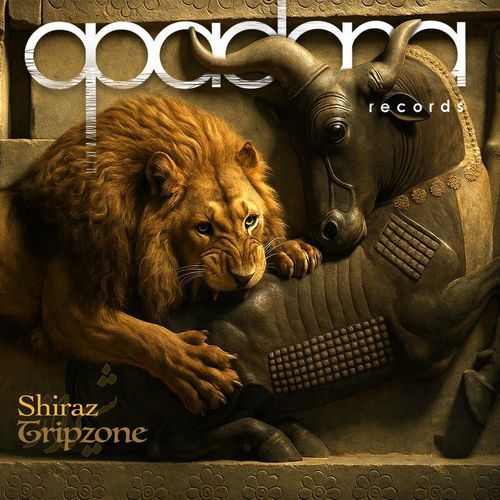 Shiraz