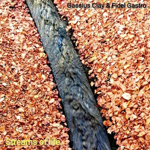 Streams of life cover art