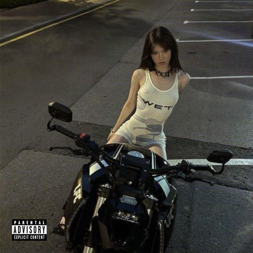 Suzuki Bege cover art