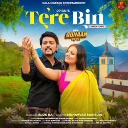 Tere Bin (feat. Munavvar Mansuri,Kiran Varma)