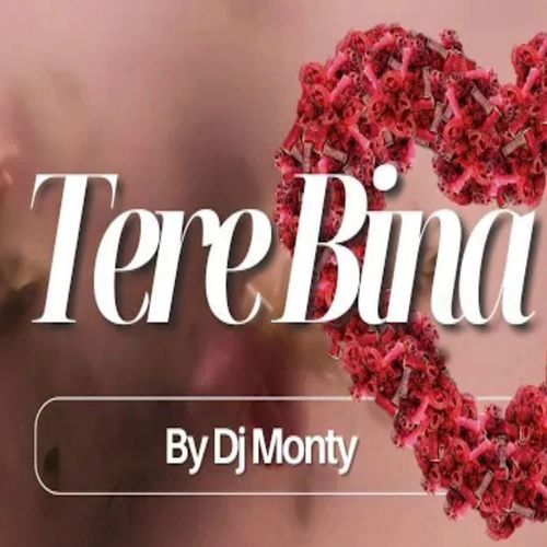 Tere Bina