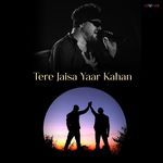 Tere Jaisa Yaar Kahan