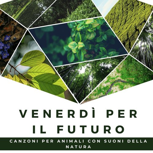 Musica per preghiera cover art