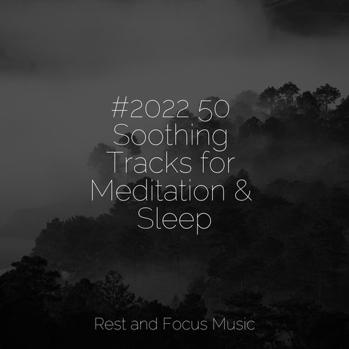 #2022 50 Soothing Tracks for Meditation & Sleep