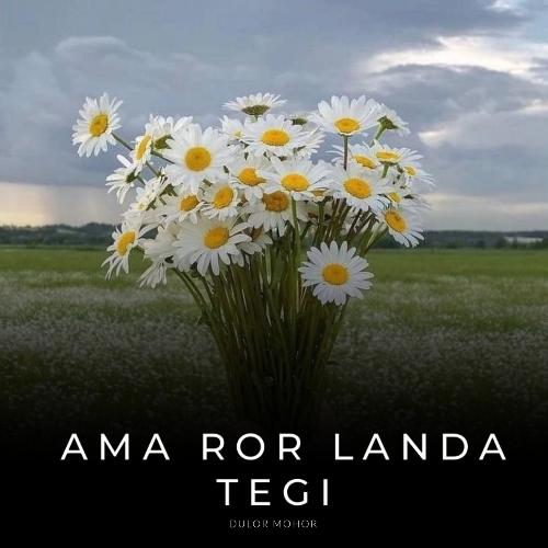 Ama Ror Landa Tegi