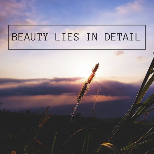 Soundscapes (Spa Songs)