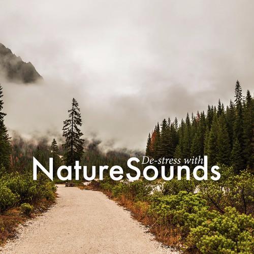 De-Stress with Nature Sounds