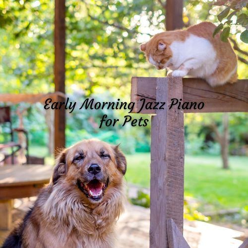 Early Morning Jazz Piano for Pets