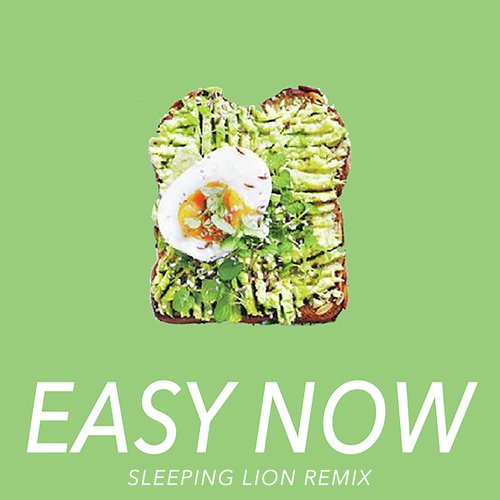 Easy Now (Sleeping Lion Remix)_poster_image